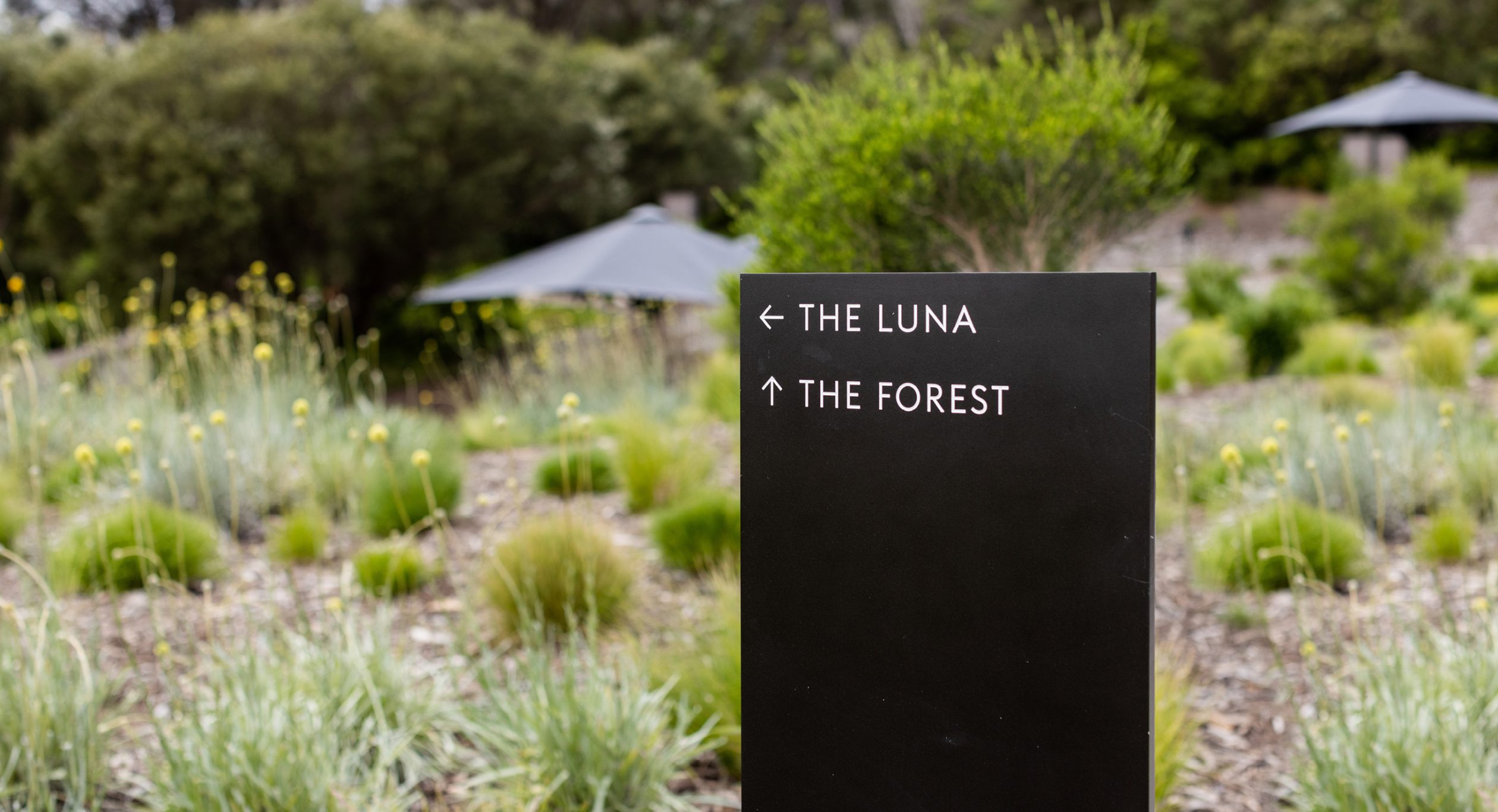 A photo of a wayfinding sign at Alba Thermal Springs - a minimal design with white text and arrows on a black panel located in a garden bed with small grasses and shrubs that are endemic to this part of the Mornington Peninsula in the background - the surrounding landscape of endemic plants ﻿was designed by the landscape architect Mala.